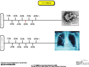 6　SARS 機能表