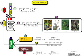 8　花粉症機能表