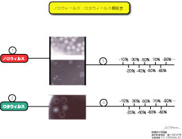 9　ノロ・ロタウィールス機能表